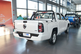 2026款长城金刚炮