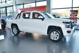 2026款长城金刚炮