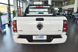 2026款长城金刚炮