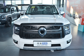 2026款长城金刚炮