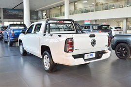 2026款长城金刚炮