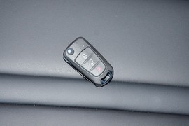 2026款长城金刚炮