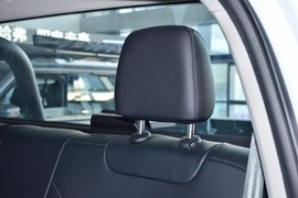 2026款长城金刚炮