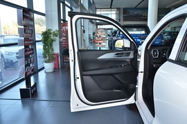 2026款长城金刚炮