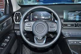 2026款长城金刚炮