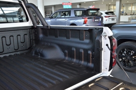 2026款长城金刚炮