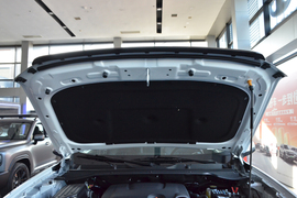 2026款长城金刚炮