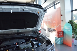 2026款长城金刚炮