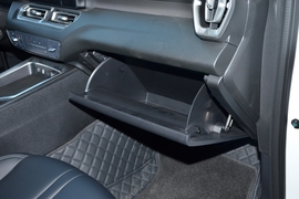 2026款长城金刚炮