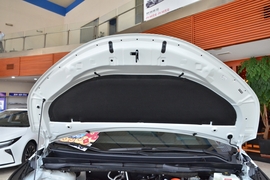 2026款丰田格瑞维亚