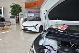 2026款丰田格瑞维亚