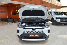 2026款丰田卡罗拉锐放