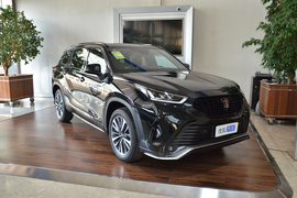 2026款丰田皇冠陆放