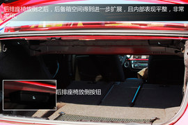 更显运动本色