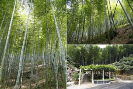 海马福美来M5南京自由试驾体验