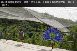 2015款东风风行景逸X5