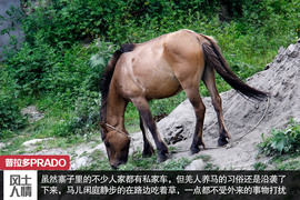 探访羌乡古寨！普拉多成都-松坪沟周末游