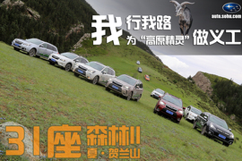 斯巴鲁31座森林星之旅活动配图