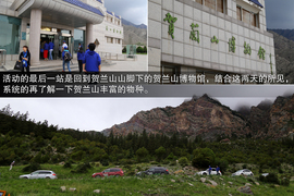 斯巴鲁31座森林星之旅活动配图