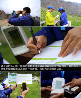 斯巴鲁31座森林星之旅活动配图