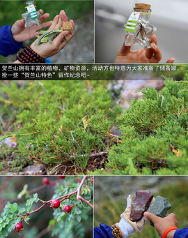 斯巴鲁31座森林星之旅活动配图