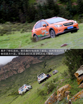 斯巴鲁31座森林星之旅活动配图