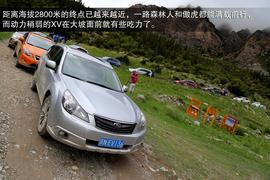 斯巴鲁31座森林星之旅活动配图