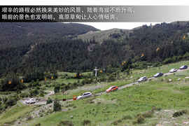 斯巴鲁31座森林星之旅活动配图