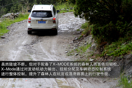 斯巴鲁31座森林星之旅活动配图