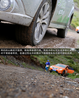 斯巴鲁31座森林星之旅活动配图