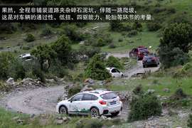 斯巴鲁31座森林星之旅活动配图