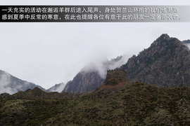 斯巴鲁31座森林星之旅活动配图