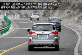 斯巴鲁31座森林星之旅活动配图