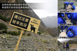 斯巴鲁31座森林星之旅活动配图