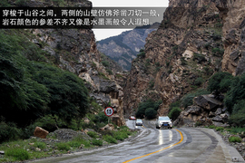 斯巴鲁31座森林星之旅活动配图