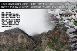 斯巴鲁31座森林星之旅活动配图