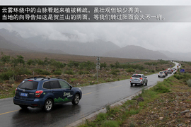 斯巴鲁31座森林星之旅活动配图