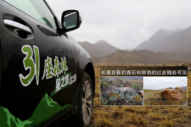 斯巴鲁31座森林星之旅活动配图