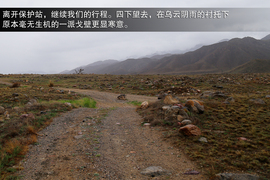 斯巴鲁31座森林星之旅活动配图