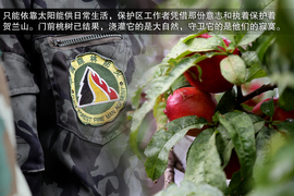 斯巴鲁31座森林星之旅活动配图