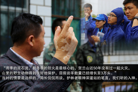 斯巴鲁31座森林星之旅活动配图