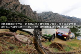 斯巴鲁31座森林星之旅活动配图