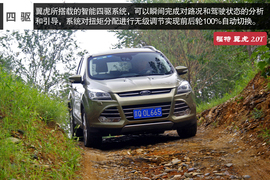 鱼与熊掌可否兼得