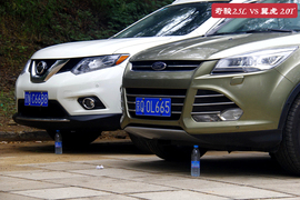 鱼与熊掌可否兼得