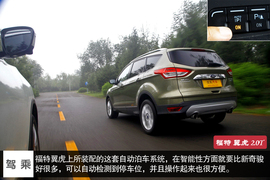 鱼与熊掌可否兼得