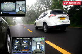 鱼与熊掌可否兼得