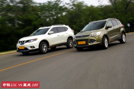 鱼与熊掌可否兼得