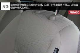 东风风神A30静态体验