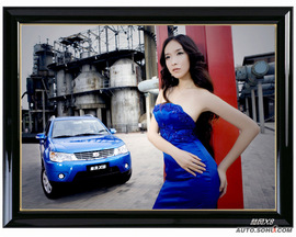 陆风X8与美女