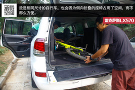 浓茶与可乐